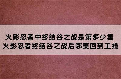 火影忍者中终结谷之战是第多少集 火影忍者终结谷之战后哪集回到主线